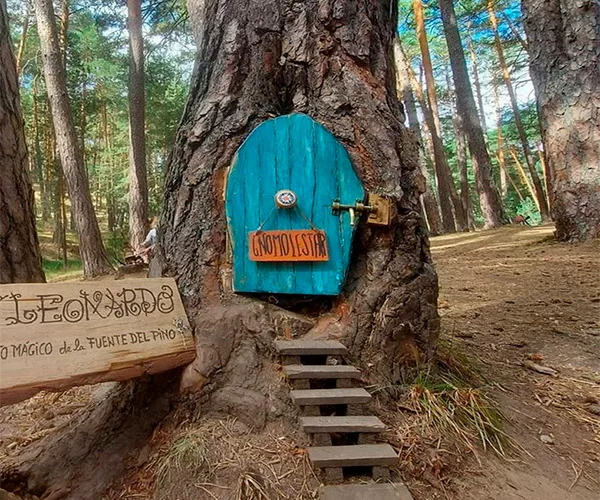 Bosque Mágico Bosque Mágico