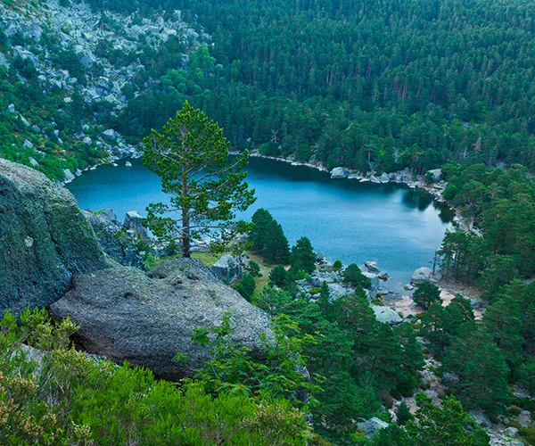 Laguna Negra Laguna Negra